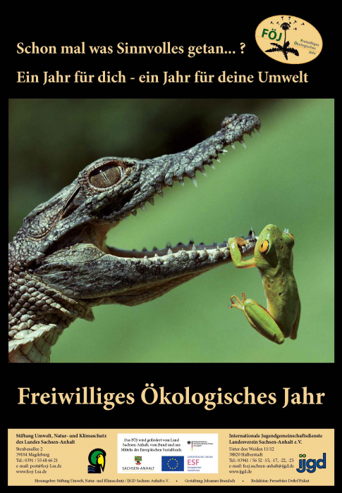 plakat_foej18_druck.jpg